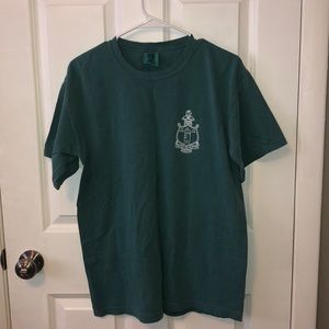 Delta Gamma Comfort Colors Teal Tee